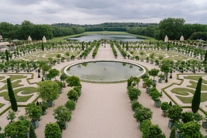 Traitement punaises de lit Versailles