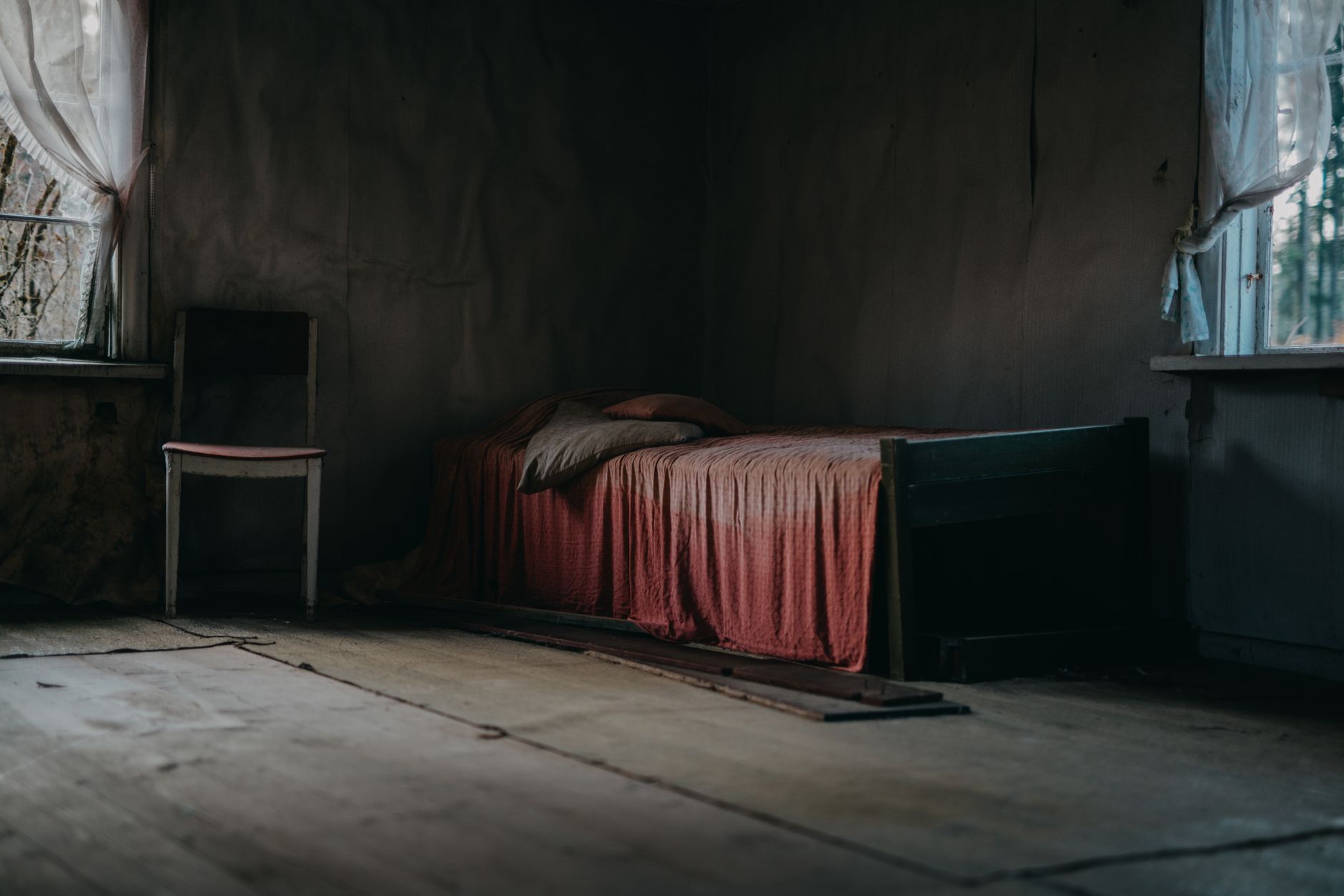 Traitement punaises de lit à Versailles